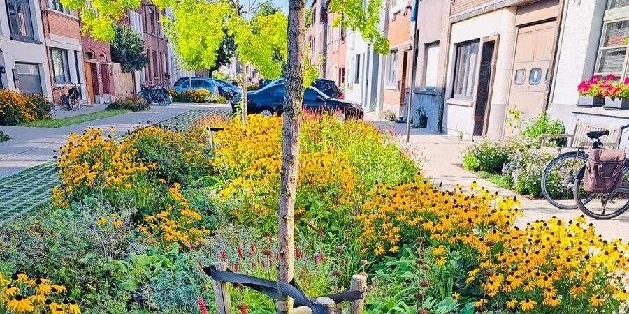 Een bloemenzee in de Jan Olieslagersstraat